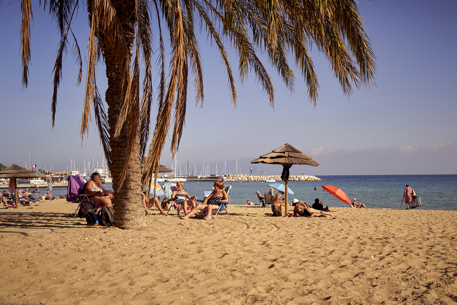 Strand mit Palme, Badeg&auml;sten, Sonnenschirmen und Segelbooten im Hintergrund an der Mittelmeerk&uuml;ste.